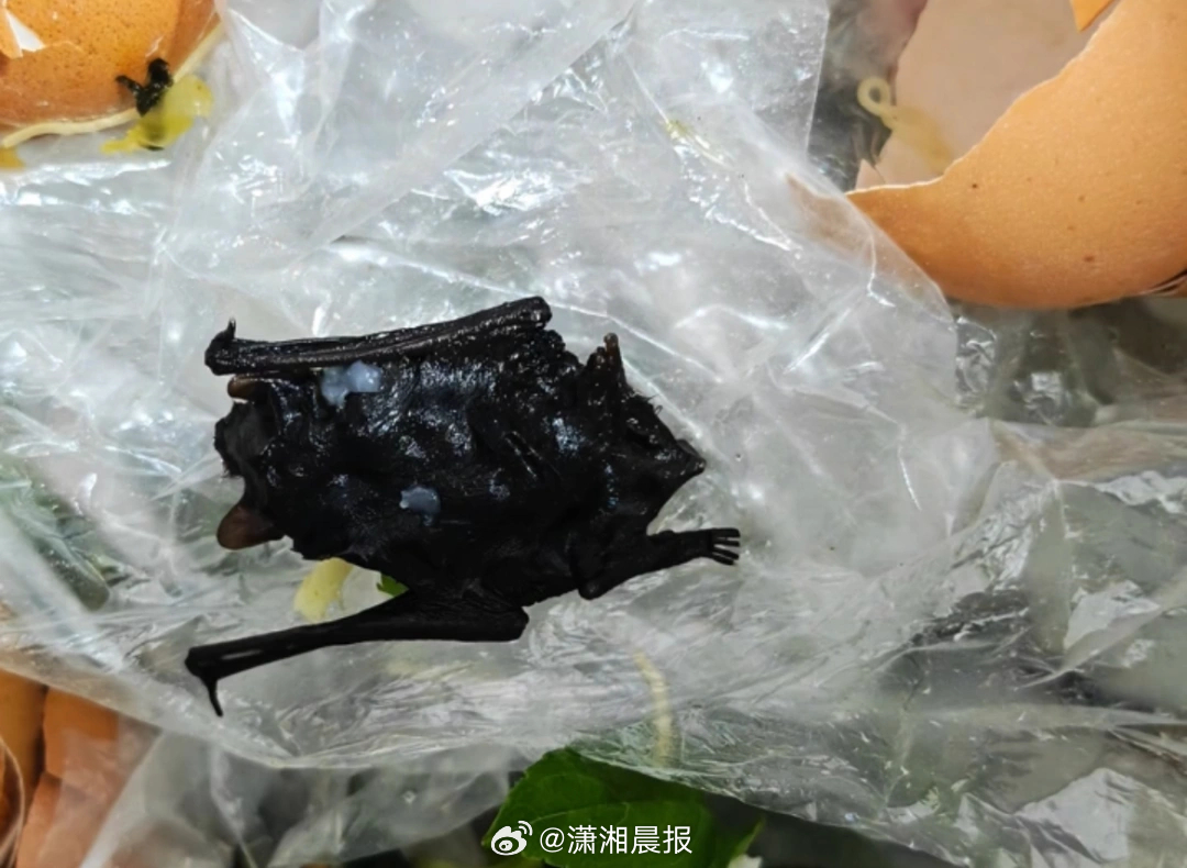 【#家属称肉片里吃出蝙蝠害儿子呕吐#，#肉片里吃出蝙蝠市监局介入调查#】7月27