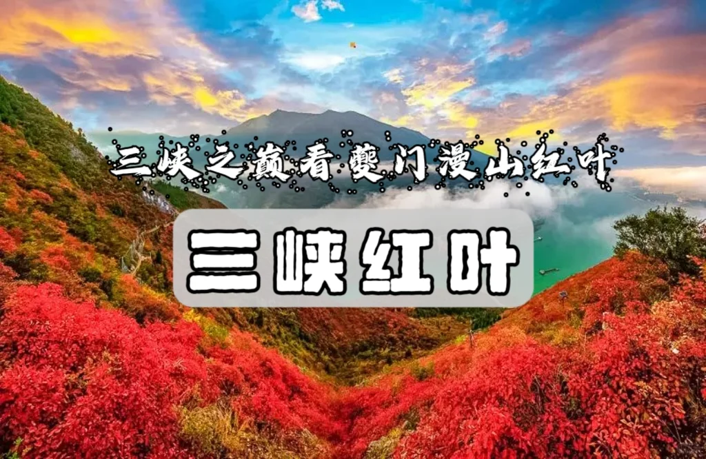 三峡红叶节