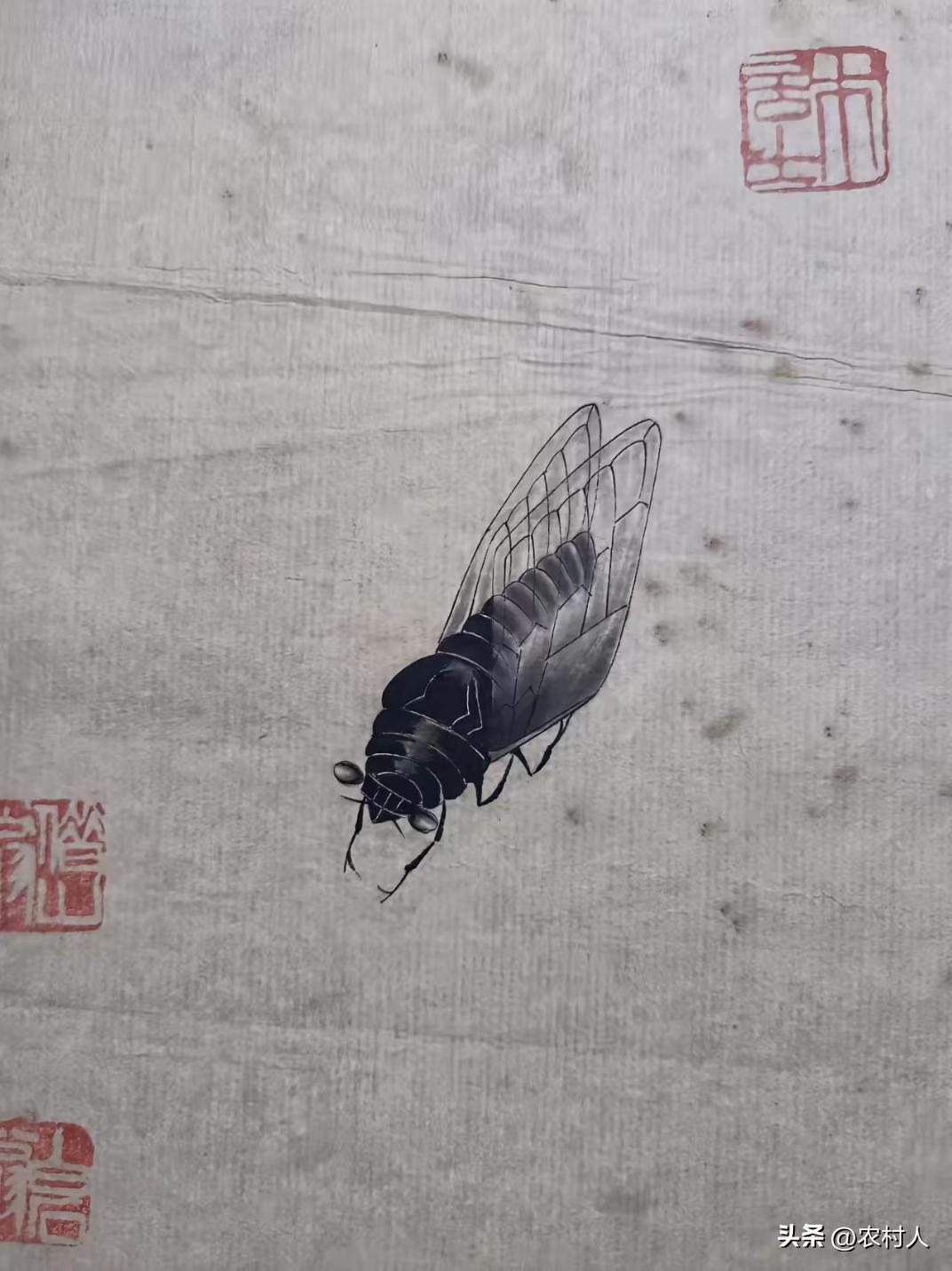 齐白石在88岁时创作了这幅画，画中仅有一只蝉。没有其他陪衬物，在拍卖会上竟然拍出