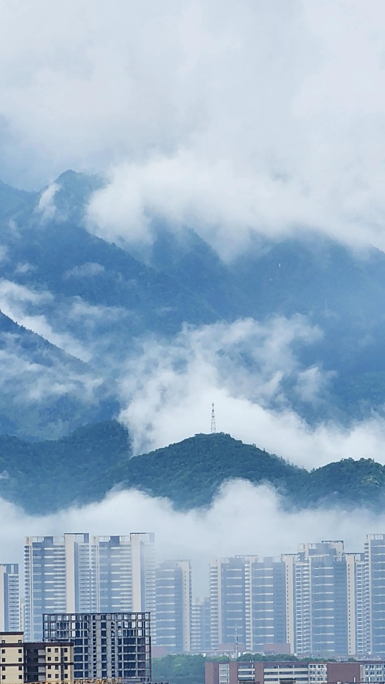 春日出游随手拍春雨过后，景色如此的妙！