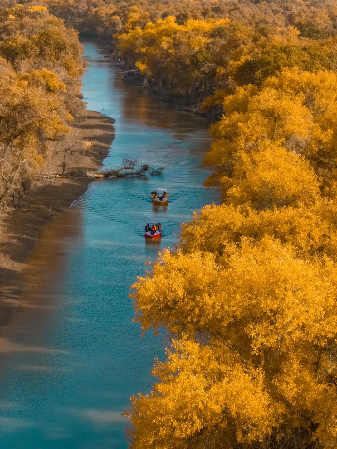 迄今为止最喜欢的地方出现了❗