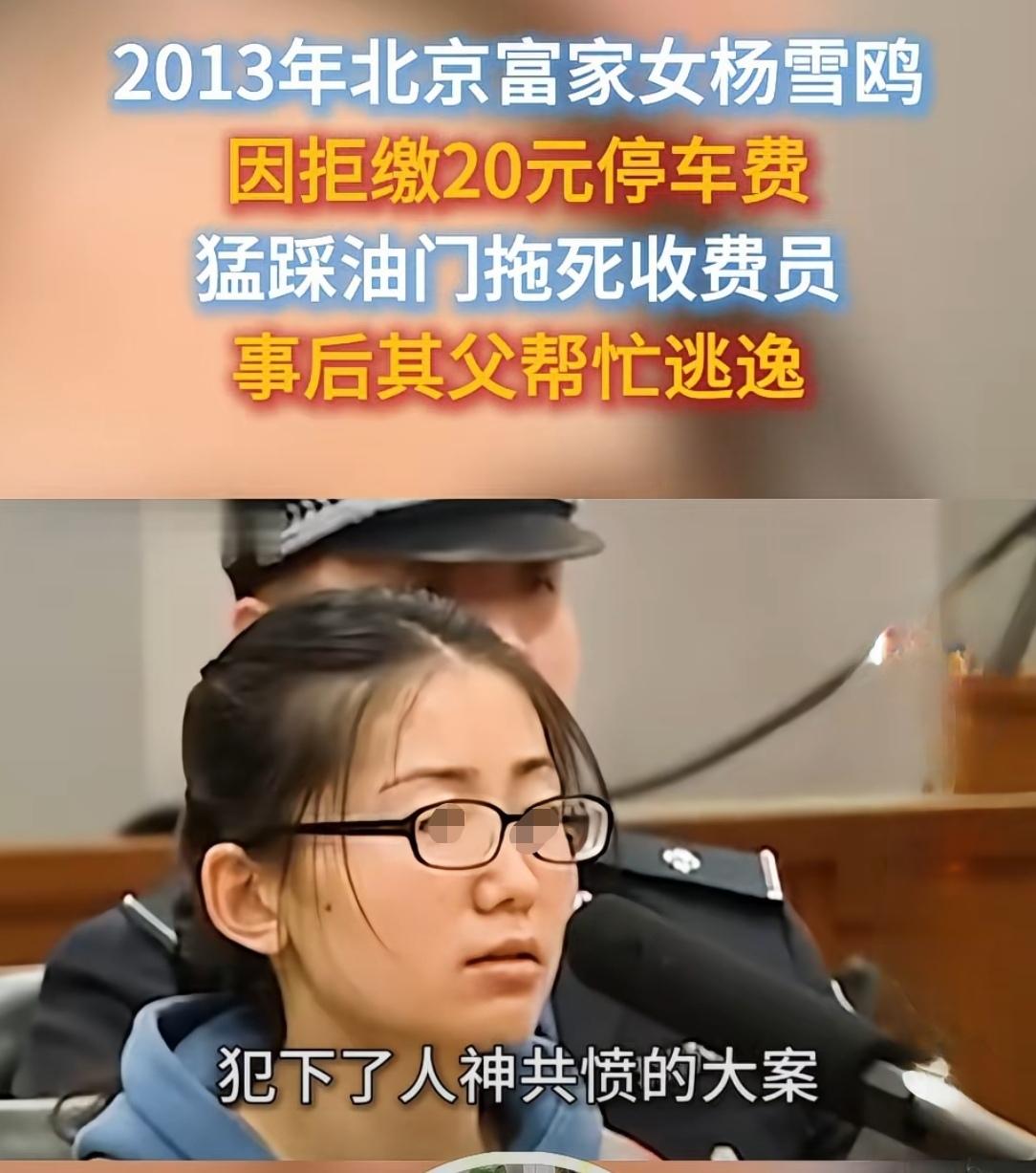 老丁死得冤吗？
杨雪鸥为40元停车费，开豪车拖死收费员老丁，获刑5年。
然后很多