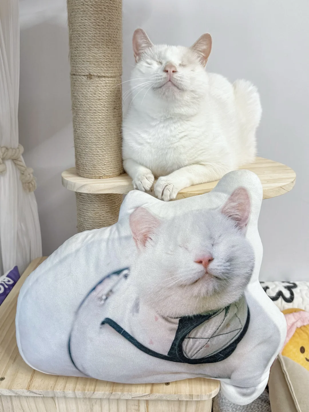 一山容不了二虎，一家容不了二派