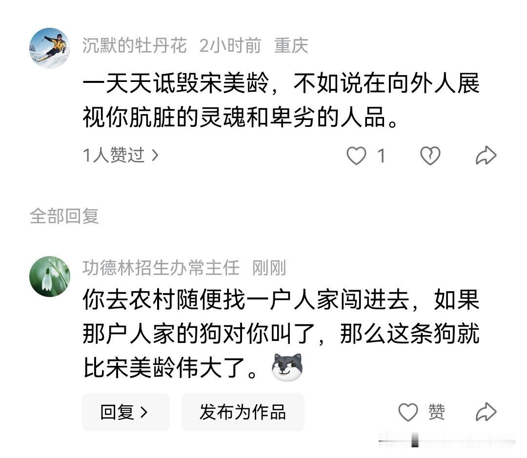 宋美龄还需要诋毁？

光阐述事实就足够她身败名裂了。 ​​​