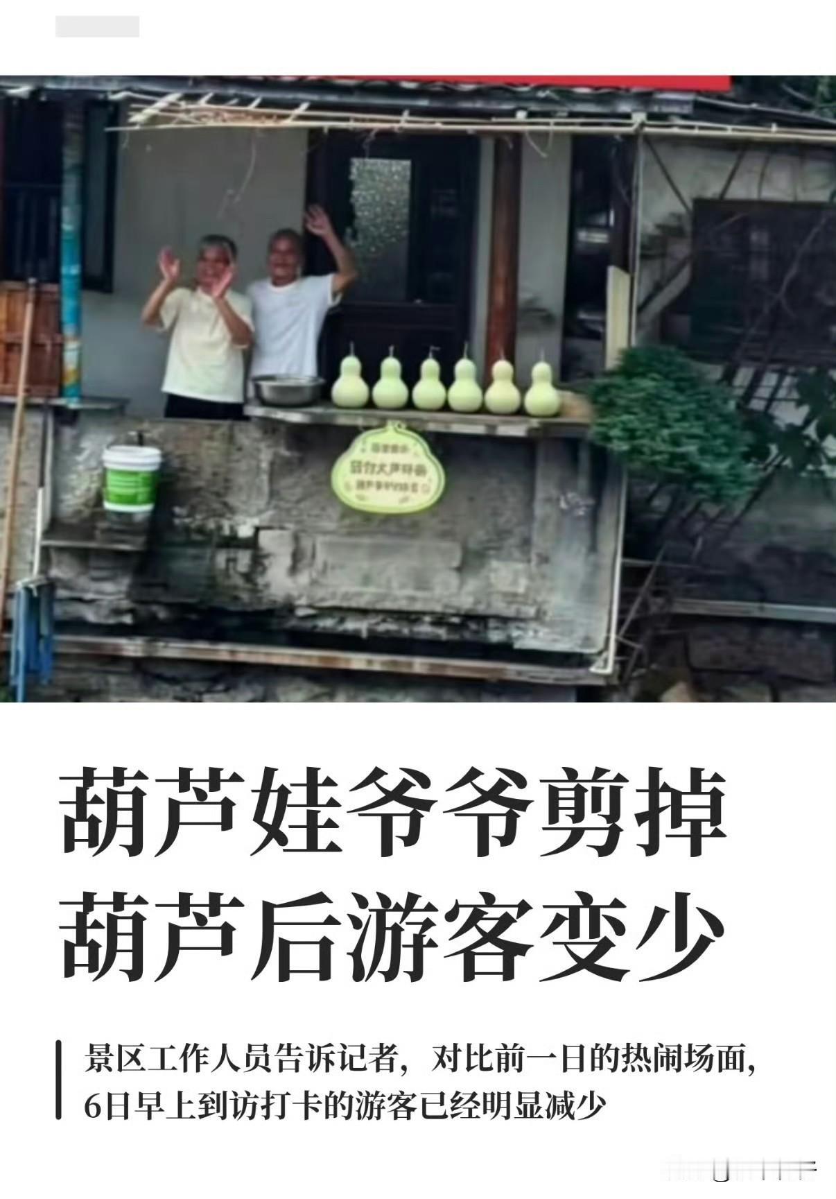绍兴那户人家的7个青葫芦，曾像现实版童话般刷屏网络。原定霜降的采摘，却因汹涌而至