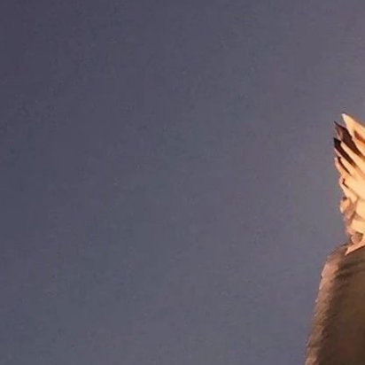 1200季节有温度，人心有冷暖。从鲜衣怒马到宠辱不惊，岁月终是不可返，都归于一粥