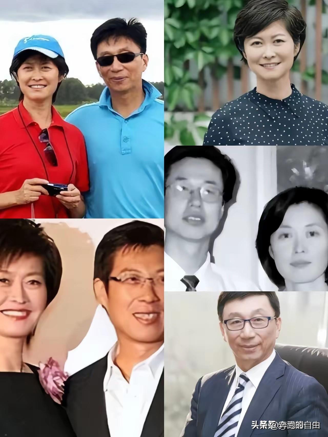 查了一下敬一丹的丈夫，王梓木，不查不知道，原来丈夫也是低调又有实力，他是华泰保险