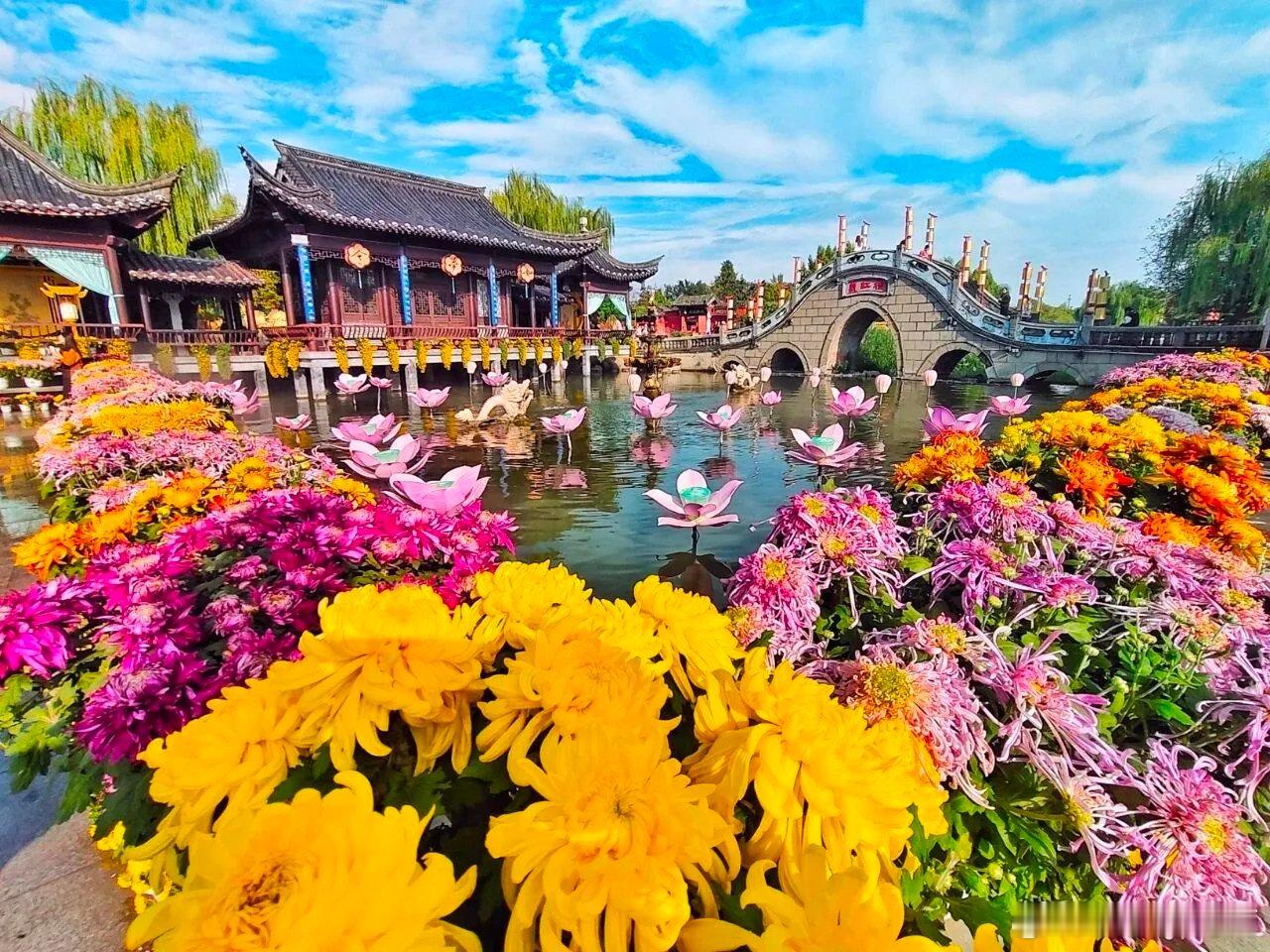 开封菊花，中国之最:河南四季有花：春赏牡丹，夏观雨荷，秋品金菊，冬寻腊梅。而今秋