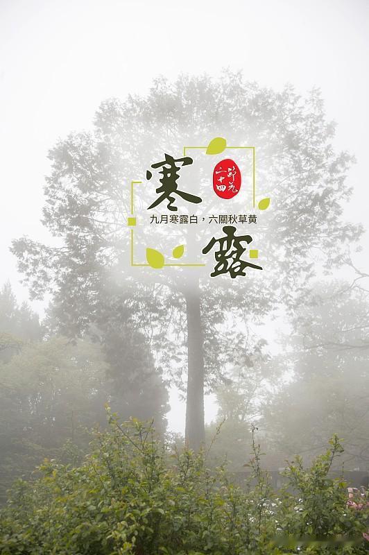 不是迷信！
“白天寒露暖如春，晚上寒露冻死牛”
今年寒露在哪？

今年寒露在 1