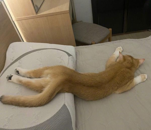 如此丝滑！！！ ​​​