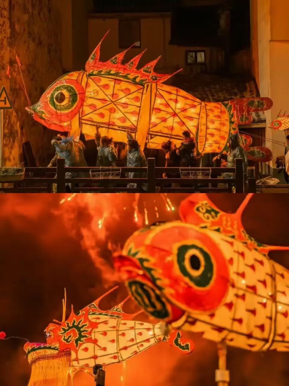 杭州新年的含金量还在上升杭州的冬天是金色的谁懂杭州冬日的金色浪漫！花港蒋庄“腊梅