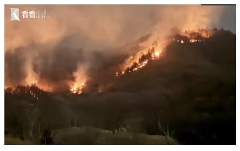 1月8号这天一早，山梨县扇山忽然升起大片浓烟，火光在山腰上一路蹿升，像是野马脱缰