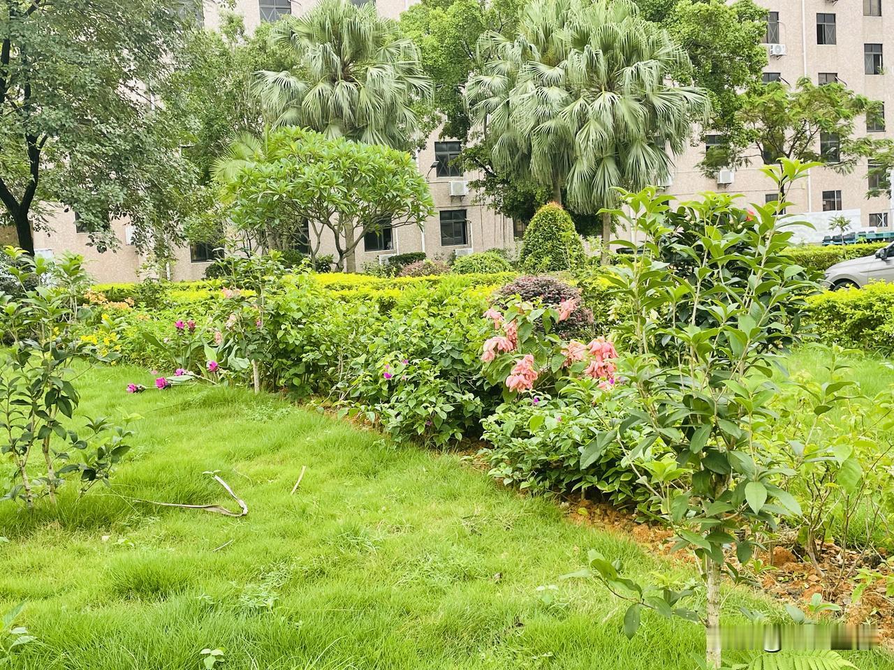 深圳的雨季随时都会下雨的，出来时还好好的，一会就回不去了！深圳狂风阵雨