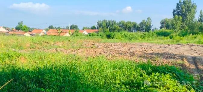 新年爱好打卡近日，即墨区段泊岚镇岭后村村民反映说，村集体土地遭人侵占，基本农田被