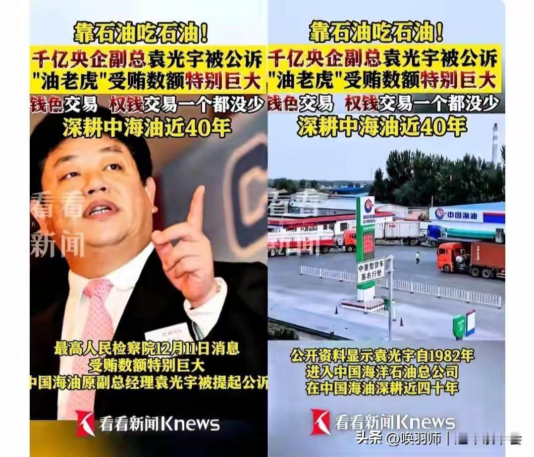 老百姓下岗的下岗，开除的开除，越来越难赚钱了！但是中海油原副总袁光宇被公诉，这位