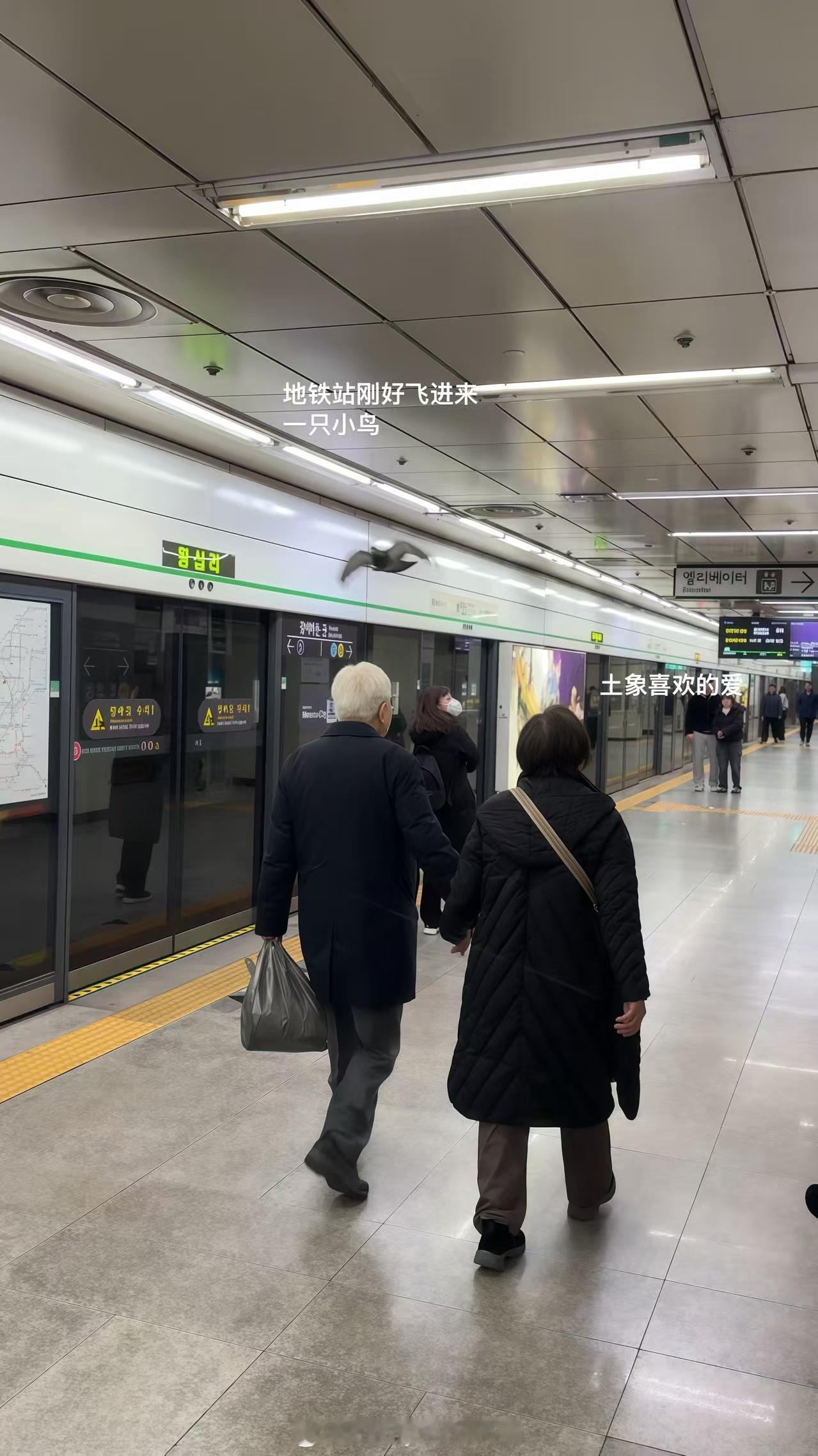 𝗣𝗹𝗼𝗴 𝗶𝗻 𝗞𝗼𝗿𝗲𝗮ᰔ ᩚ🫶🏻 