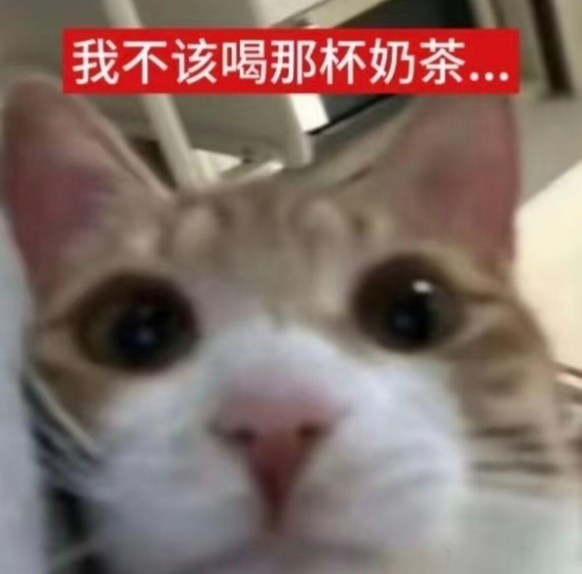 4528每次看见余额都在心里计算接下来花多少 过几天点进去怎么少了那么多 气冲冲
