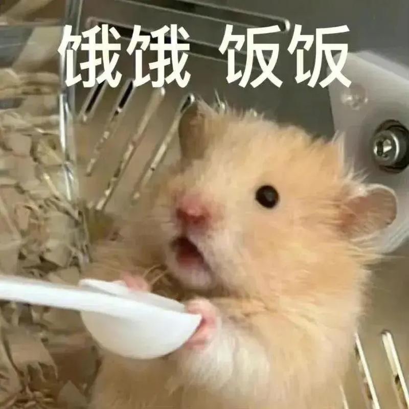 谁说爱吃不能当兴趣 兴趣哪有高低之分？有人爱摄影，我偏爱研究菜谱，为一口好吃的花