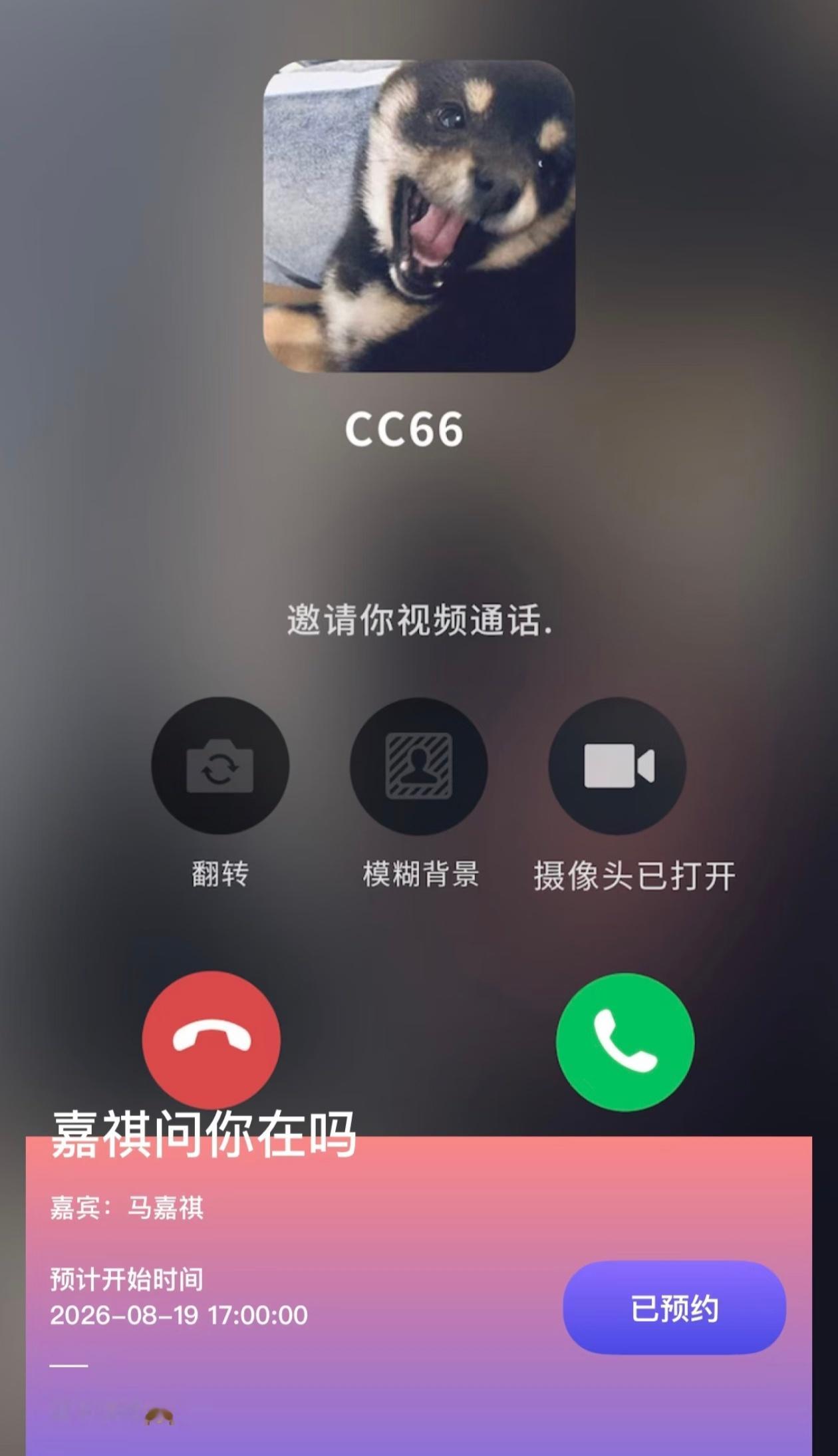 我要看六吨 