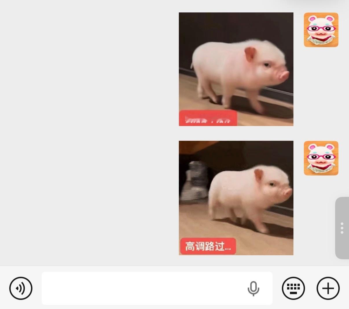 最近爱用的我猪都不猪你.. 小猪大叫 大猪（呼）小叫 
