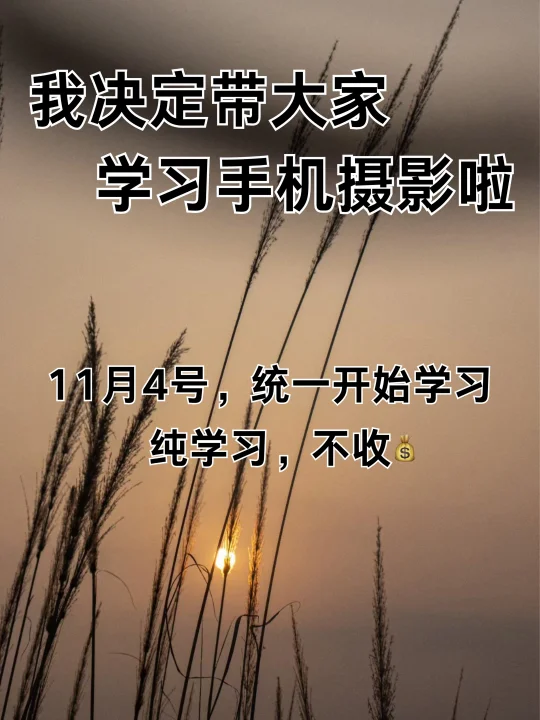 我决定带大家学习手机摄影啦！！