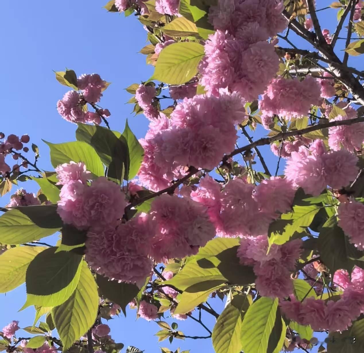 他爸的再婚老伴，比他亲妈强在哪？
那天半夜，他被客厅动静吵醒。
推门一看，继母正