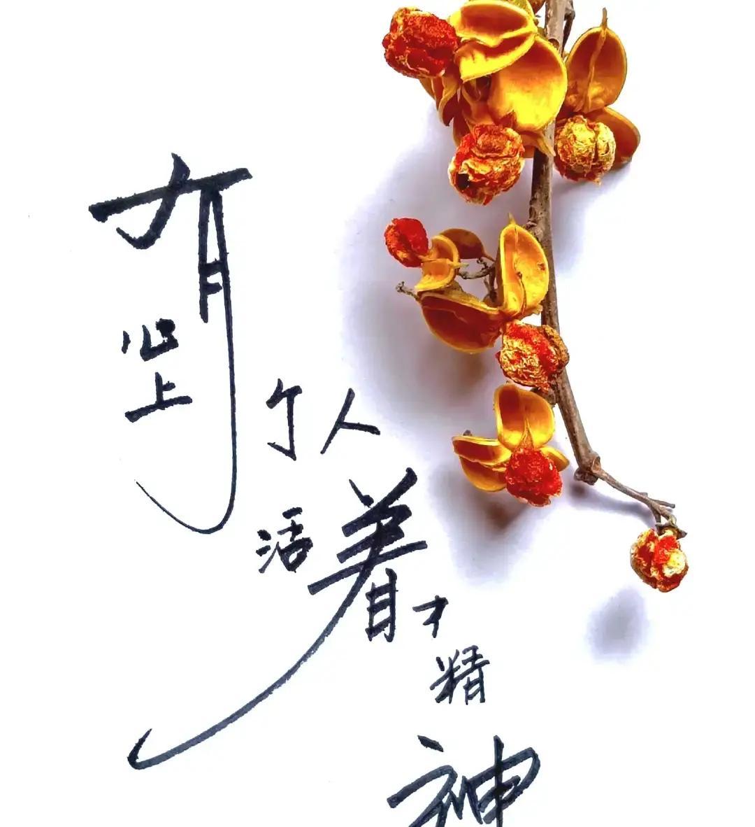 张明远和李薇团队花三年追踪三千多个孩子，用数据给“名字决定性格”的说法泼了冷水。