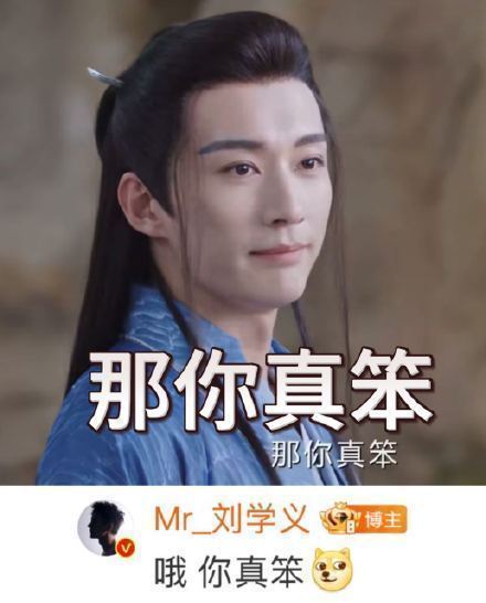 刘学义源仲 ❄️刘学义 被去年今日这四张表情包冷幽默到了🤣一年咯念无双开播一周