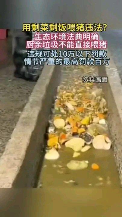 “泔水喂猪”被正式写入禁令，2026年8月15日起施行，违规最高罚百万，这可让不