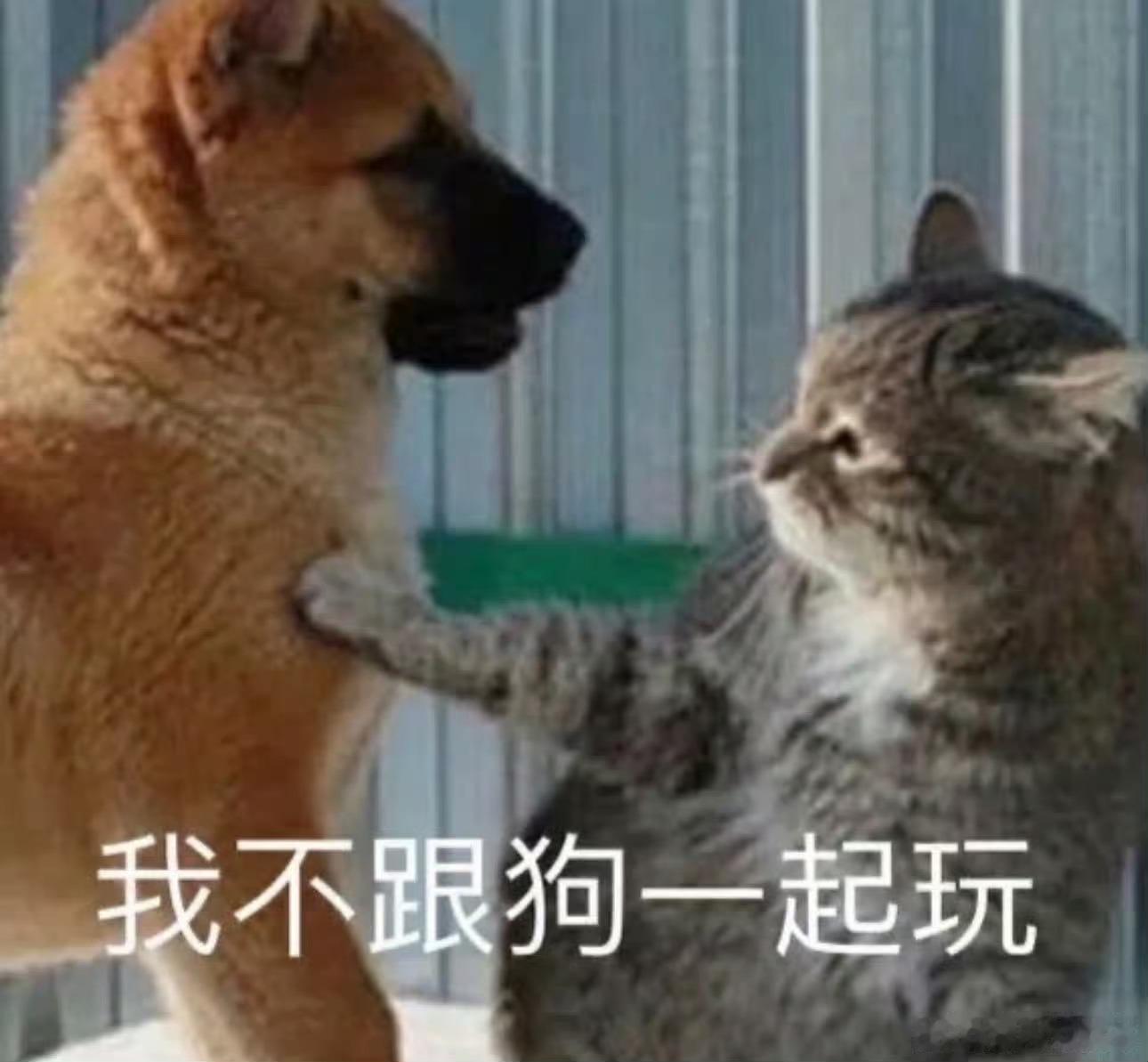 夜晚剧宣的表情包第3️⃣波 哈哈哈哈哈哈 第1️⃣波网页链接 第2️⃣波网页链接