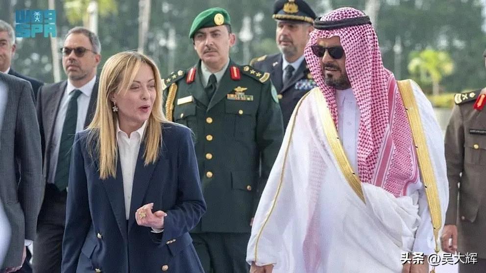 吴大辉教授刻意忽略泽连斯基

我国著名的俄罗斯问题专家，清华大学国际关系学系教授