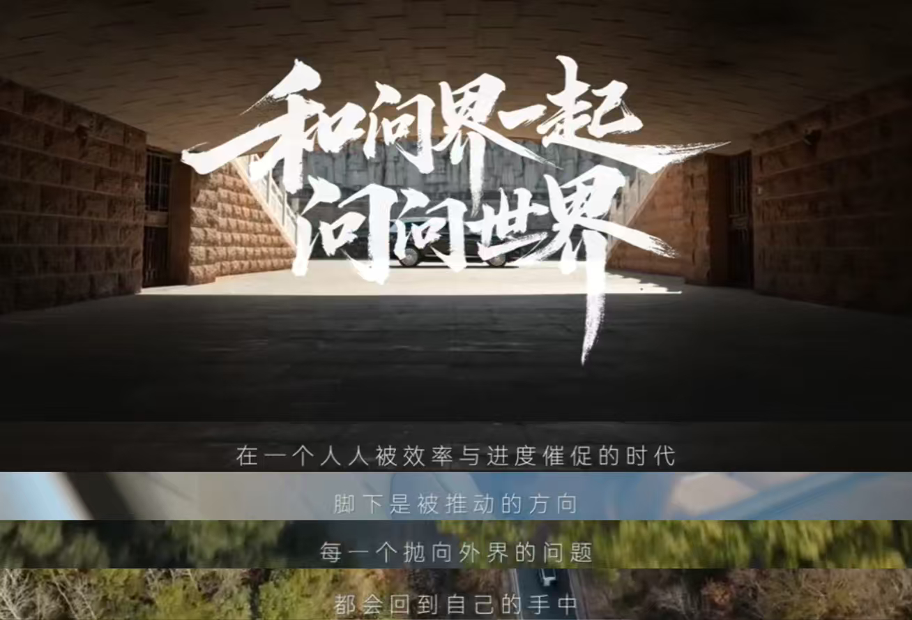 热爱让张伟丽在拳击这条路走得更远张伟丽怕偷懒被拳头打脸很多人只看到张伟丽站在巅峰