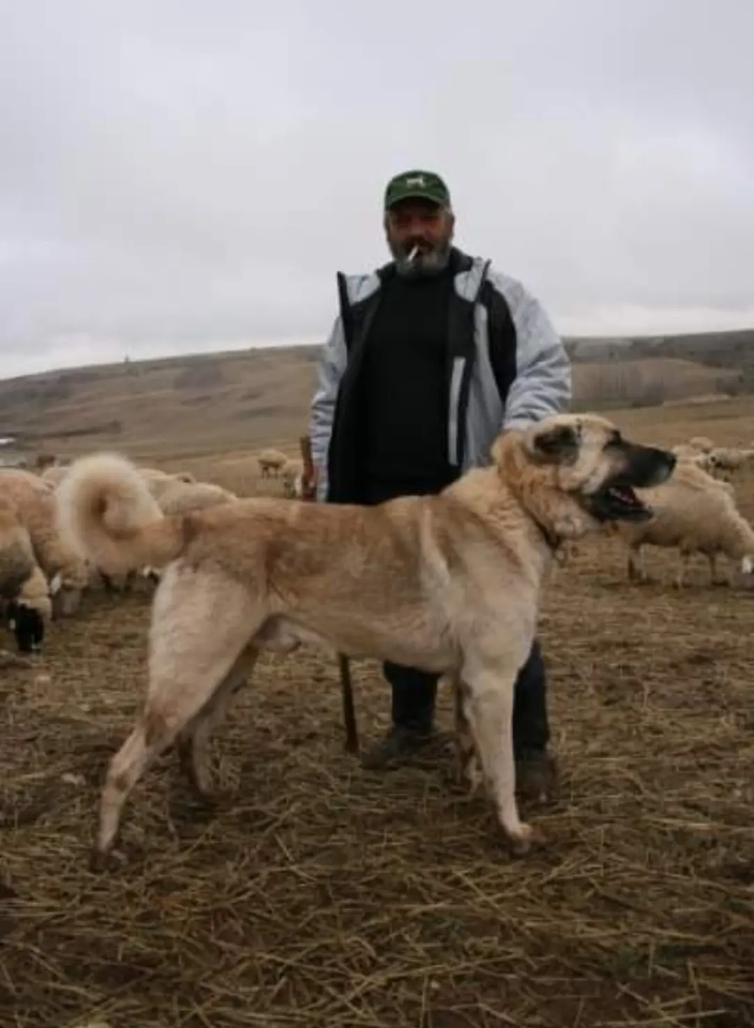 喜欢不会因为年龄的增长而减少，一辈子的喜欢戒不掉