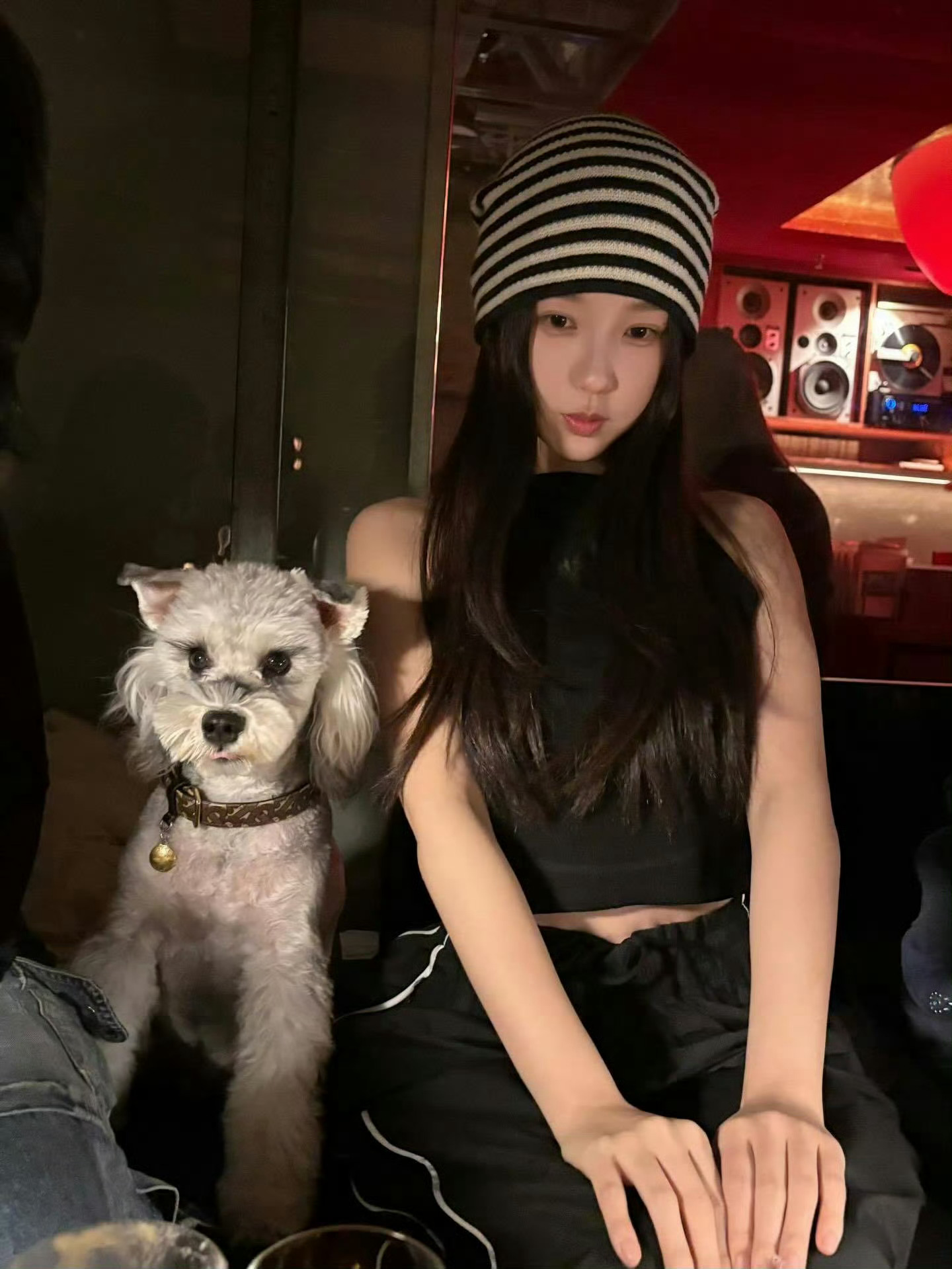 报告！这里有两只可爱的小狗！ 