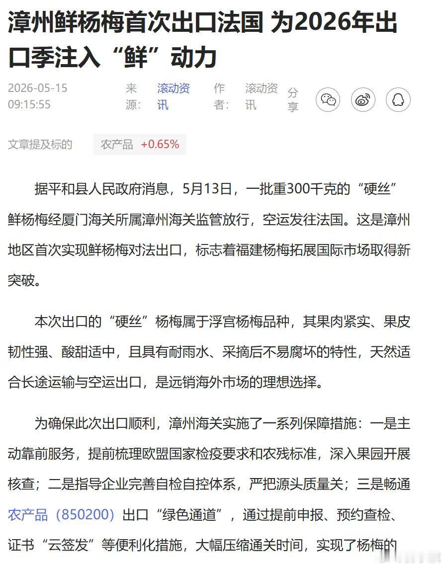 漳州鲜杨梅首次出口法国 为2026年出口季注入“鲜”动力 