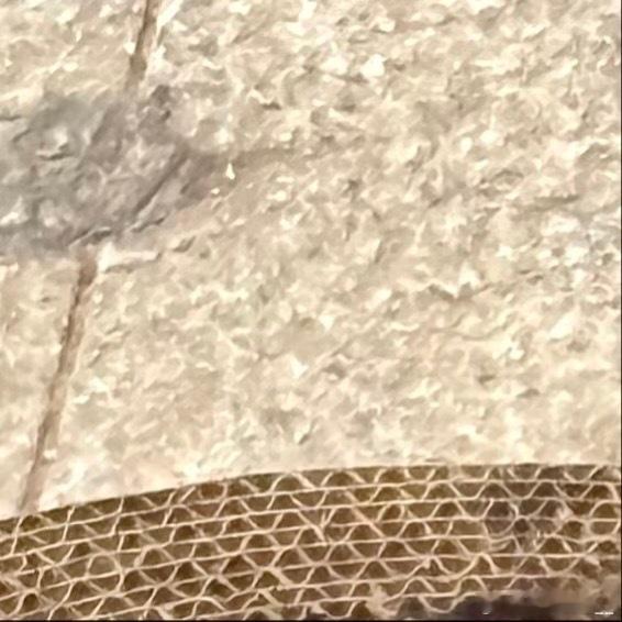 把每个晴天当作礼物珍藏。在阳光下晾晒衣物，让织物储存阳光味道；用镜子反射光斑，在