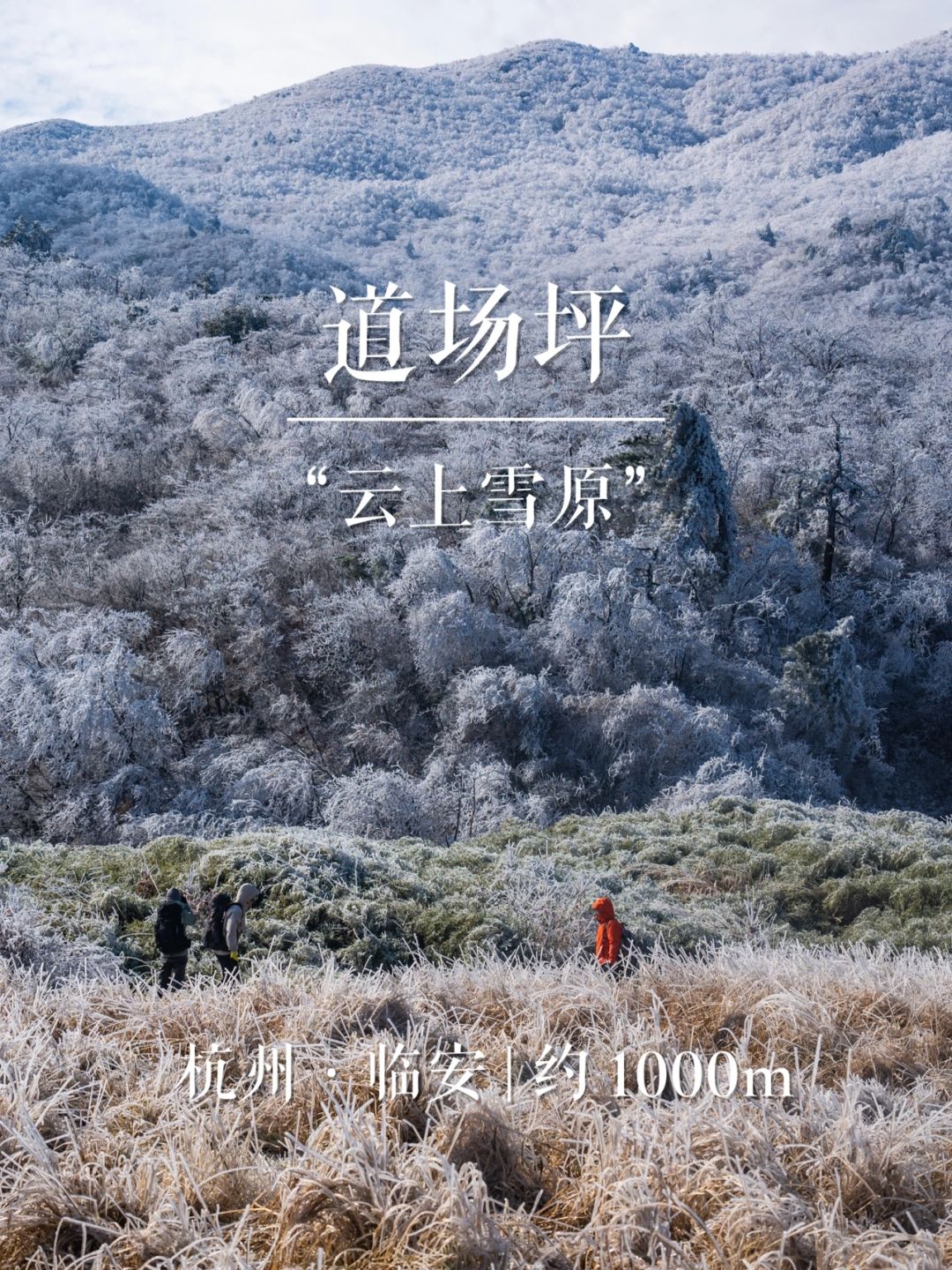 “云上雪原”道场坪 | 华东名山录