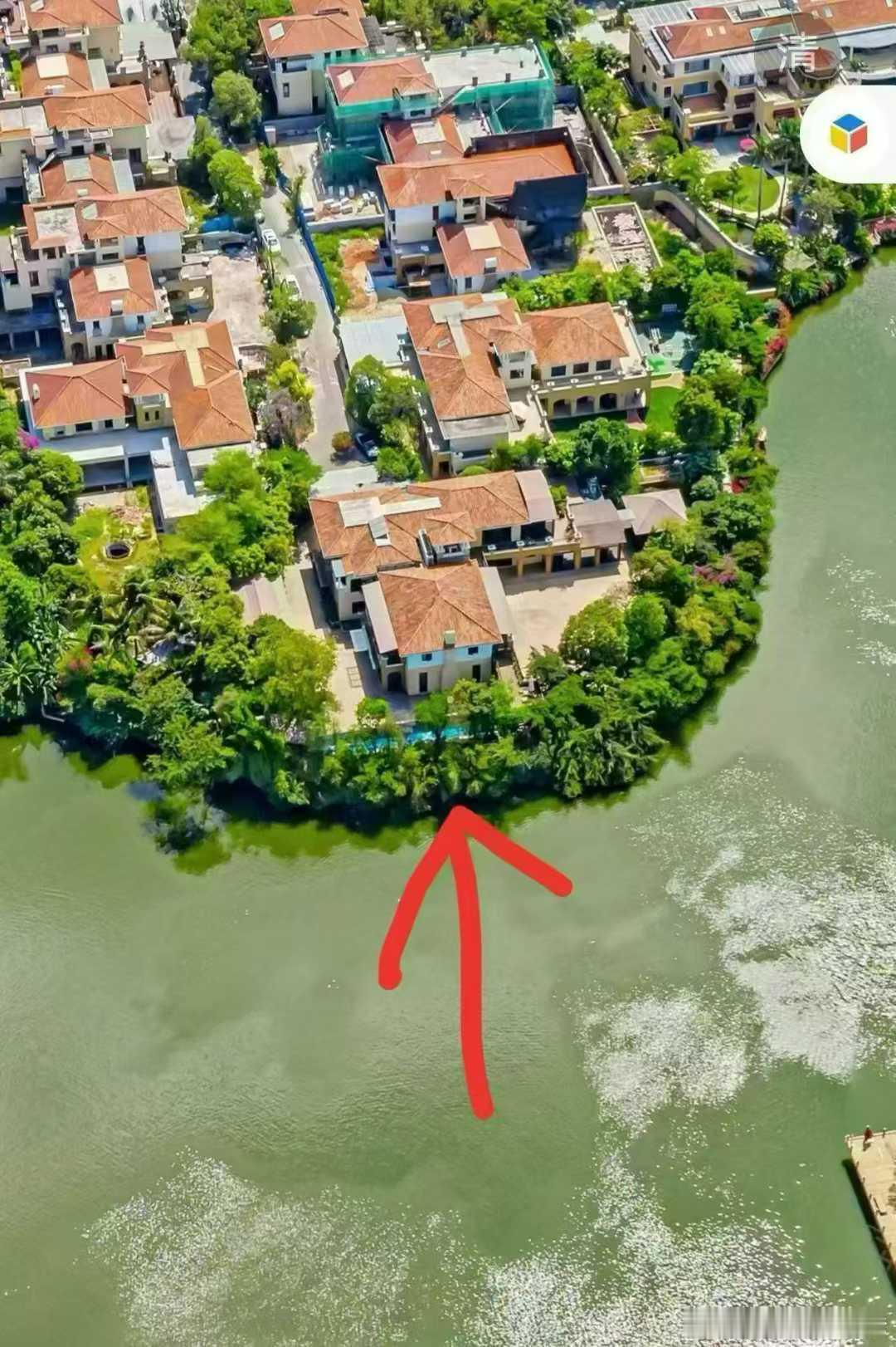 纯水岸楼王别墅，3.6亿拍下，还带了租约呢。 ​​​