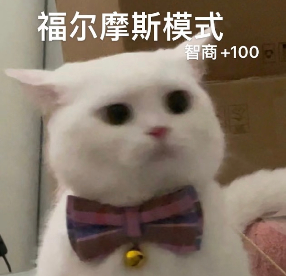 我买东西只看差评我还以为这是个小众方法不光买东西，点外卖看电影我都得看看差评，只