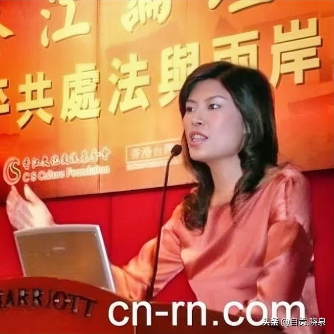 郑丽文，一个被大陆许多网民提起就“火冒三丈”的国民党主席，她的烦恼、甚至内心世界