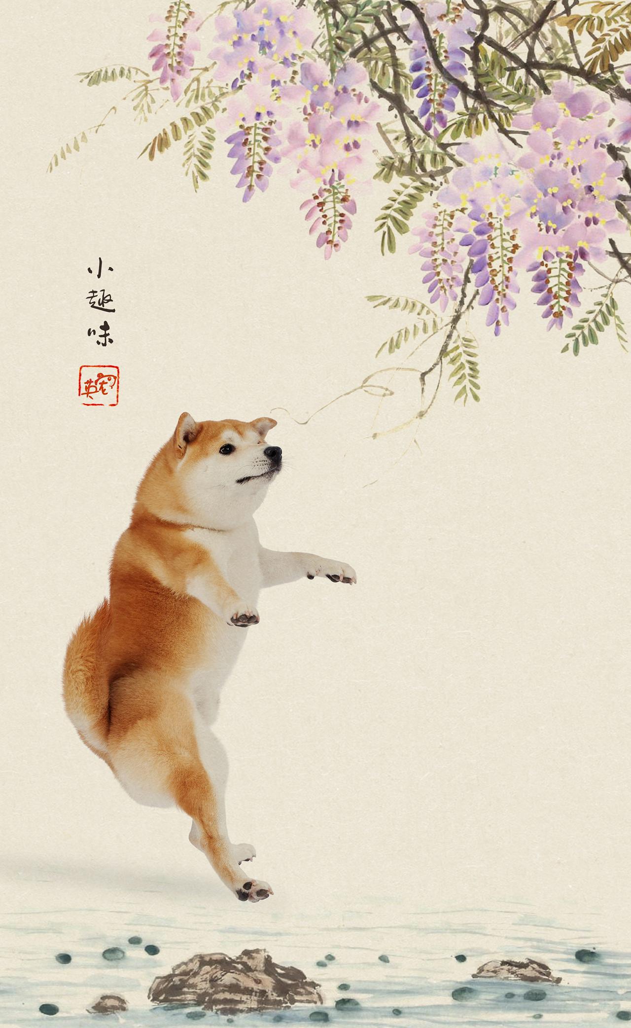 小荷花小荷叶
小柴柴的夏天
【工笔画拍摄】