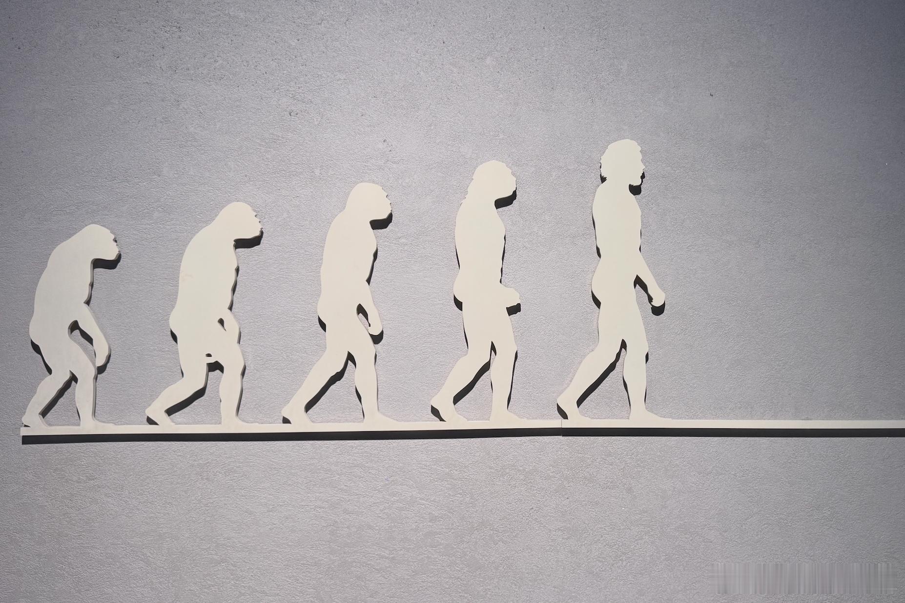 既然我曾被称作“威马编外1号员工”，有些小故事想跟大家唠唠。先声明，本文不做任何