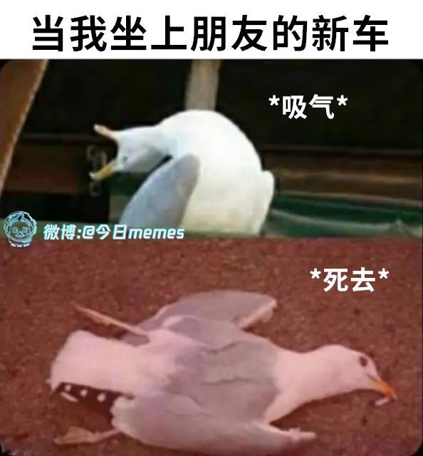 大肺（9gag）今日meme[超话] 今日memes ​​​