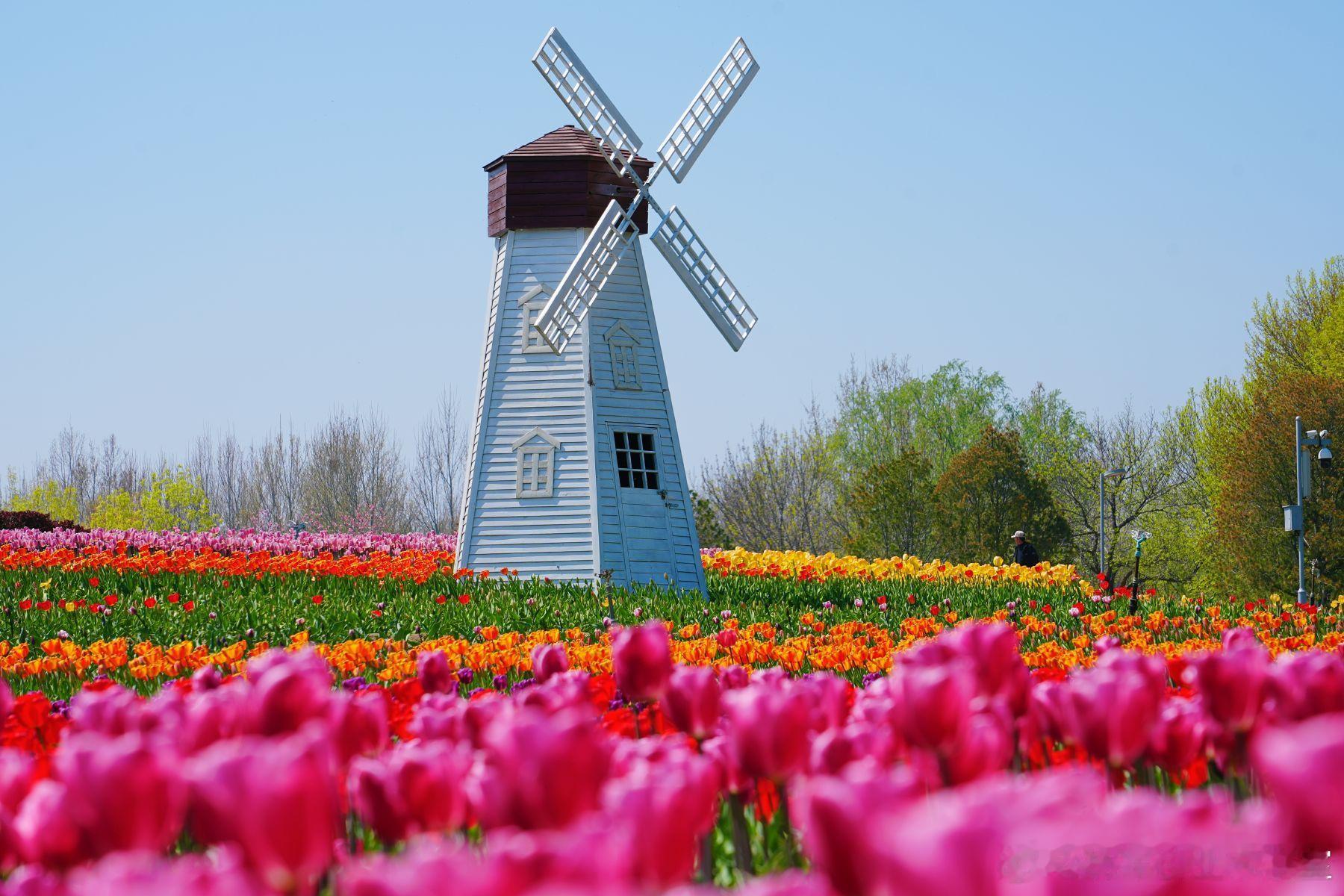 【股权激励的个量如何精准设定？】核心观点：个量设定是科学与艺术的结合，目标是在“