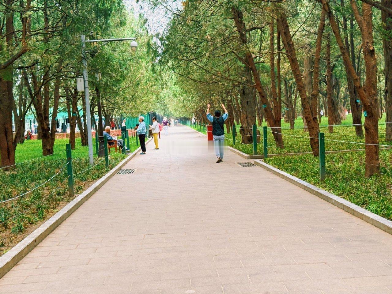 我与地坛，地坛公园集景摄影北京·地坛公园