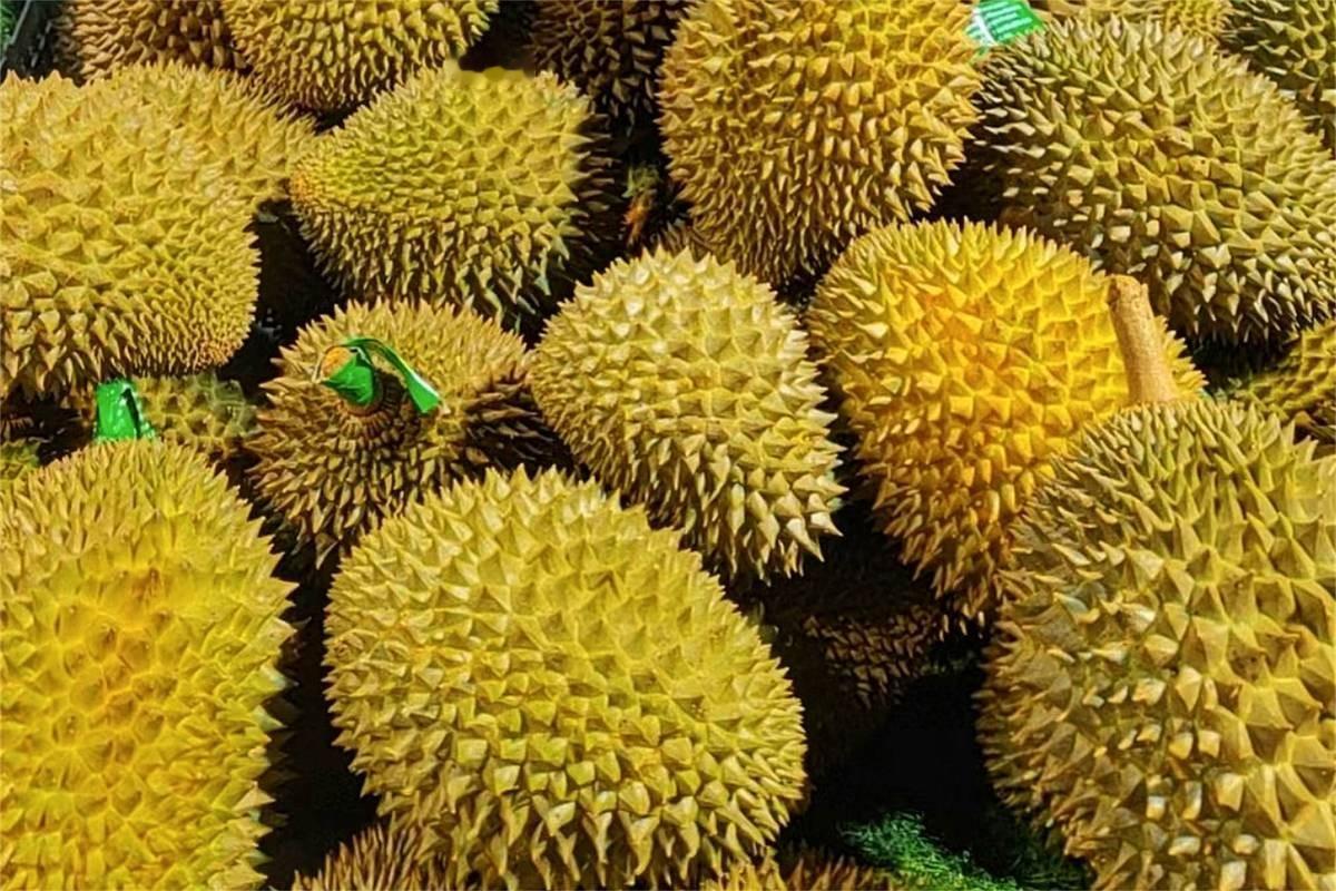 海南封关，榴莲成了笑话！一位上海网友惊叹:海南人犯傻吗？金枕榴莲在上海23元一斤