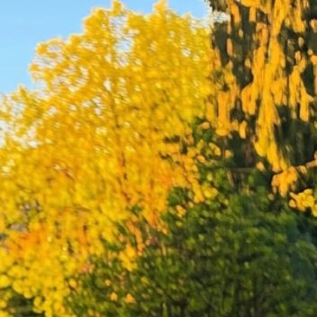 每日一善   每日一善   阳光信用 学会不为过程的缓慢而焦虑，即使暂时未能如你