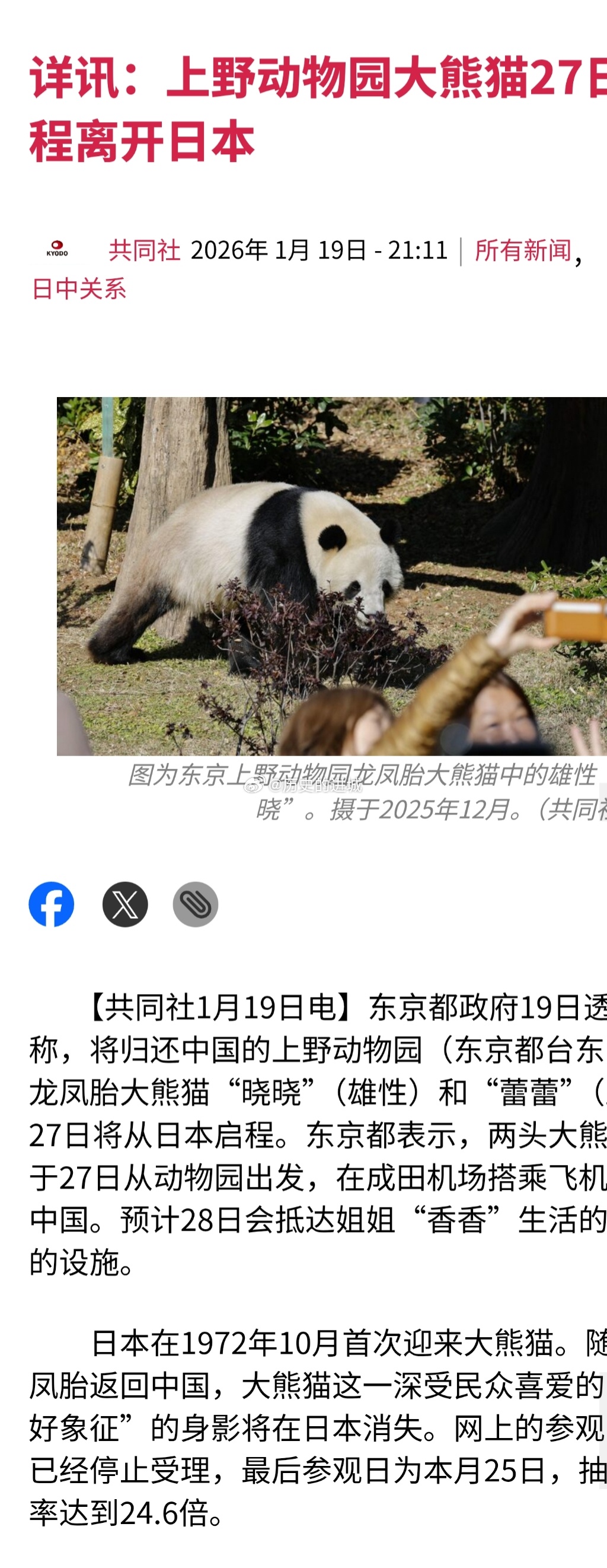 日本迎半世纪来首次零熊猫东京都政府19日透露称，将归还中国的上野动物园龙凤胎大熊