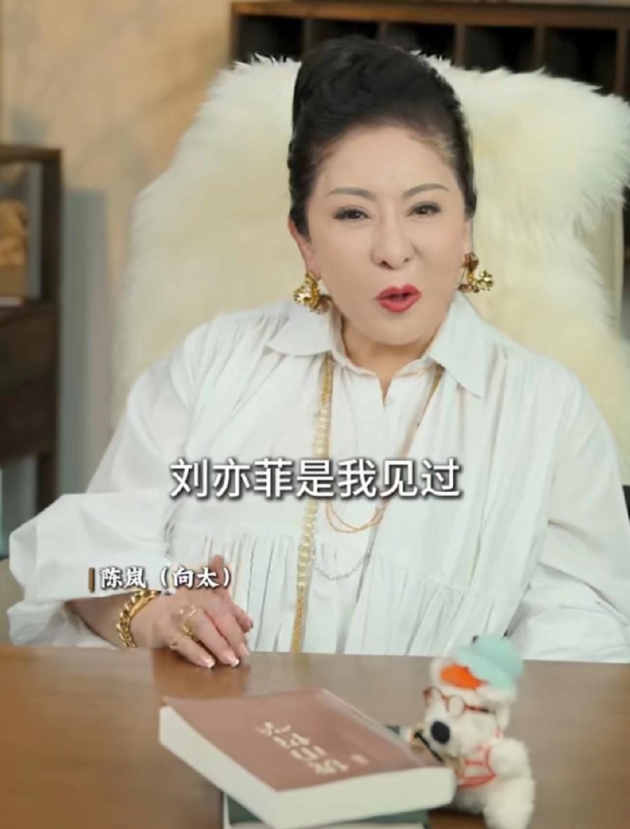 刘亦菲14岁的时候就被妈妈带去见向太了，本来是想签在向太公司出道的，但向太当时念