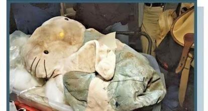 1999年香港23岁陪酒女樊敏仪，因为欠夜总会管账陈文乐几千块钱（高利贷滚到近十